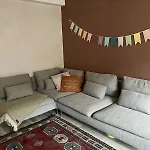 Simply Furnished Spacious Apartment