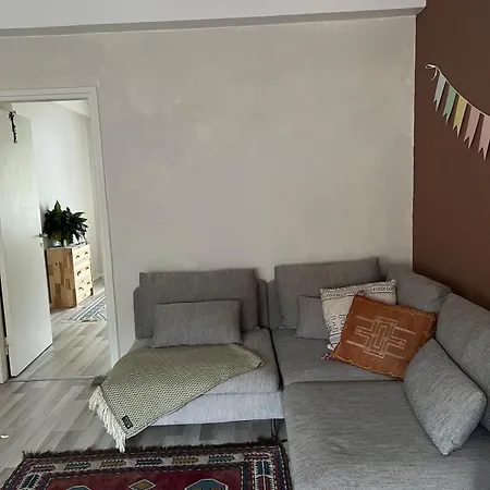 Simply Furnished Spacious Apartment